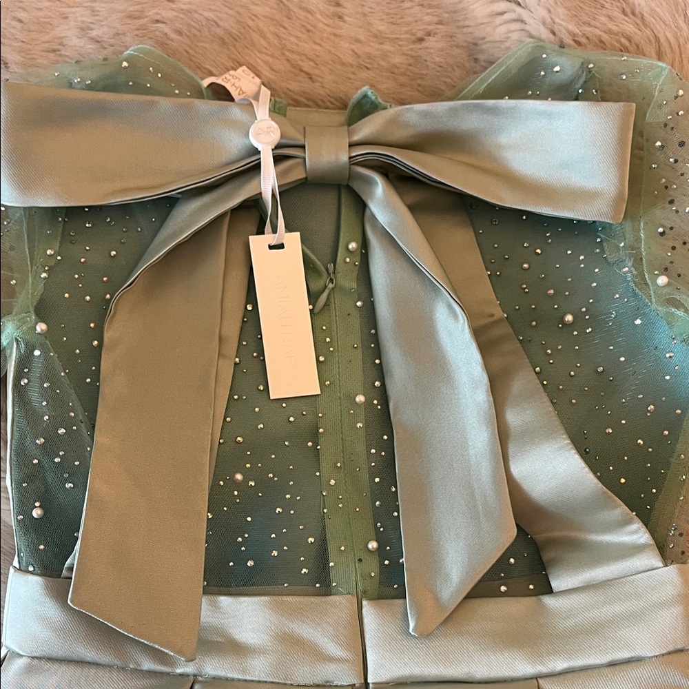 Amish Rae Chic Mint Green Dress with Bow and Sparkle Sleeves NWT